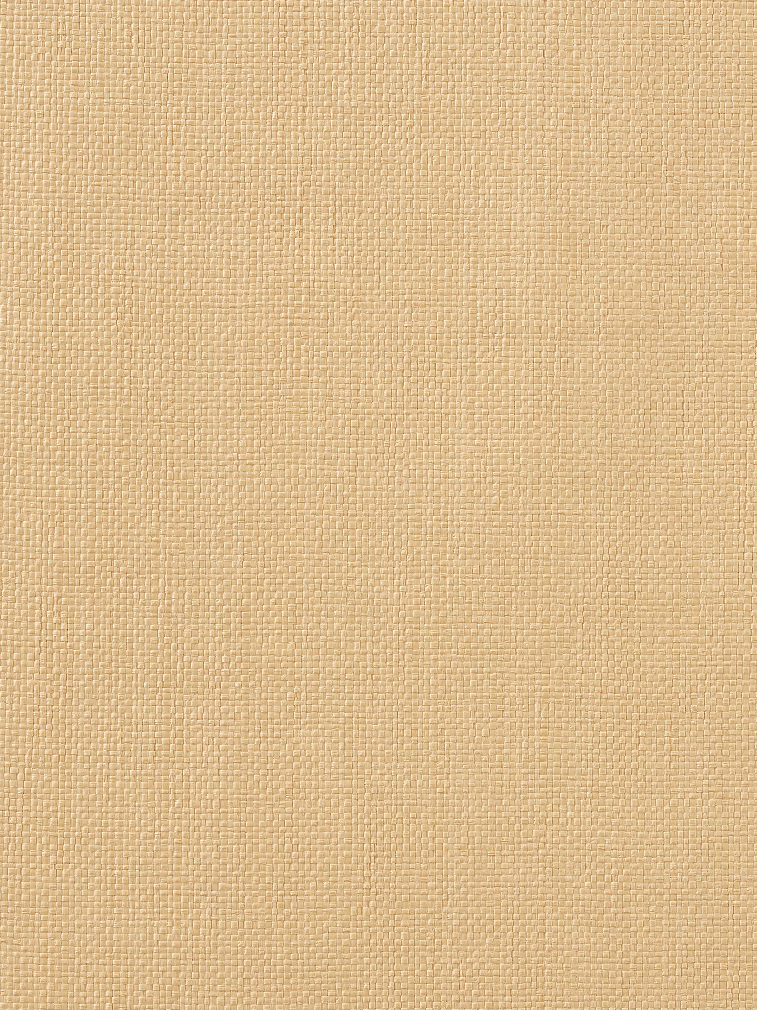 Pierre Frey Marius Wallpaper Sample FP865003