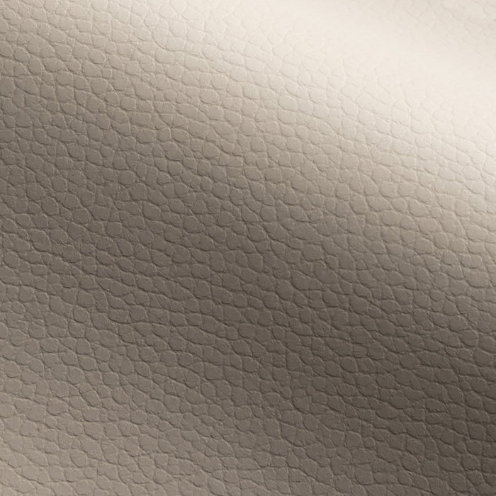 Perennials Hi â€˜n Dri Alabaster Fabric Sample 70-228