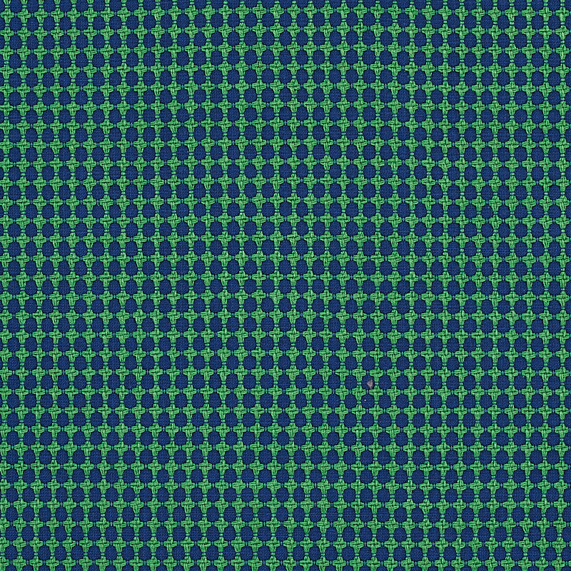 Schumacher Zipster Navy & Green Fabric Sample 70529