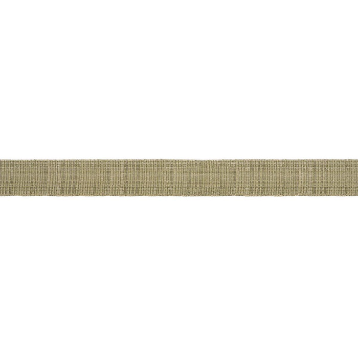 Schumacher Tweed Tape Medium Leaf Trim Sample 70739