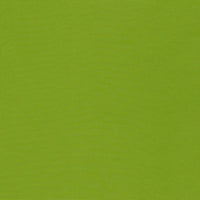 Schumacher Mondello Indoor/Outdoor Lime Fabric 71032