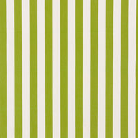 Schumacher Andy Stripe Green Fabric 71326
