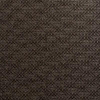 Schumacher Ashton Obsidian Fabric Sample 71620
