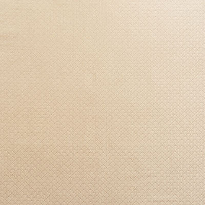 Schumacher Ashton Champagne Fabric Sample 71621