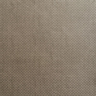 Schumacher Ashton Flint Fabric 71622