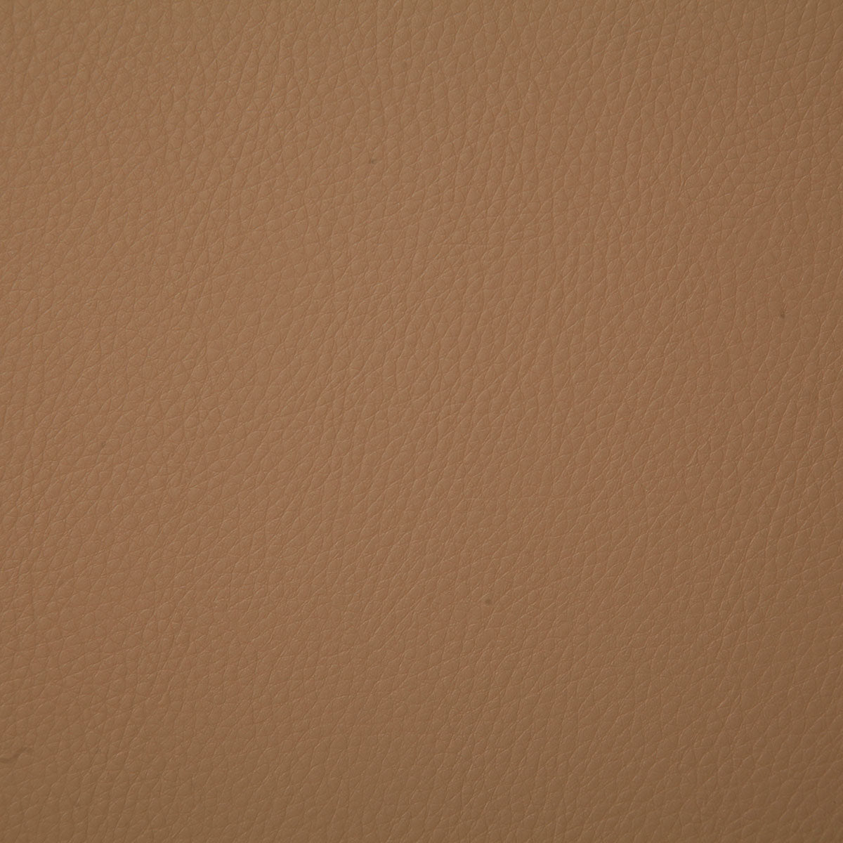 Pindler Sullivan Camel Fabric 7224