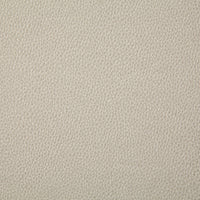 Pindler Sanders Chalk Fabric 7225