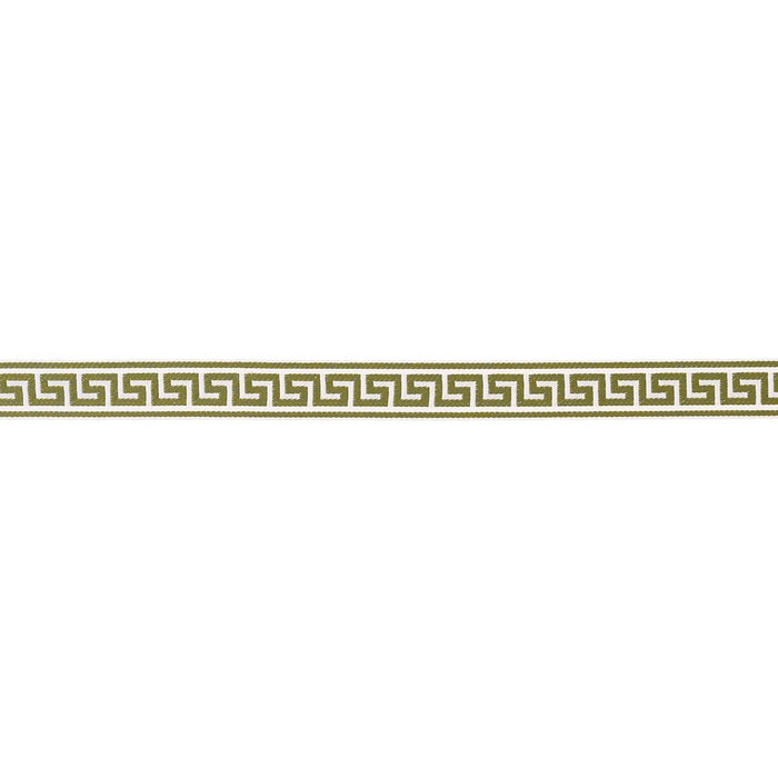 Schumacher Ganton Tape Indoor/Outdoor Green Trim 72397