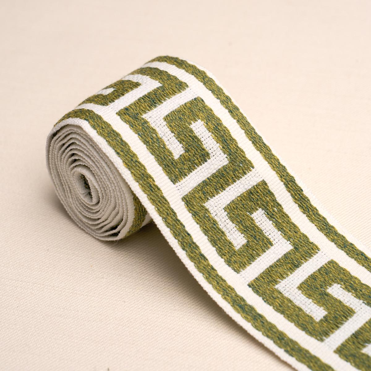 Schumacher Ganton Tape Indoor/Outdoor Green Trim 72397