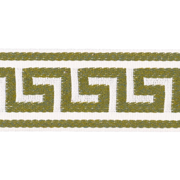 Schumacher Ganton Tape Indoor/Outdoor Green Trim 72397