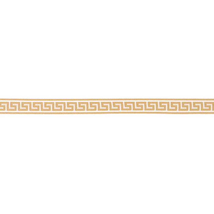Schumacher Ganton Tape Indoor/Outdoor Yellow Trim 72398
