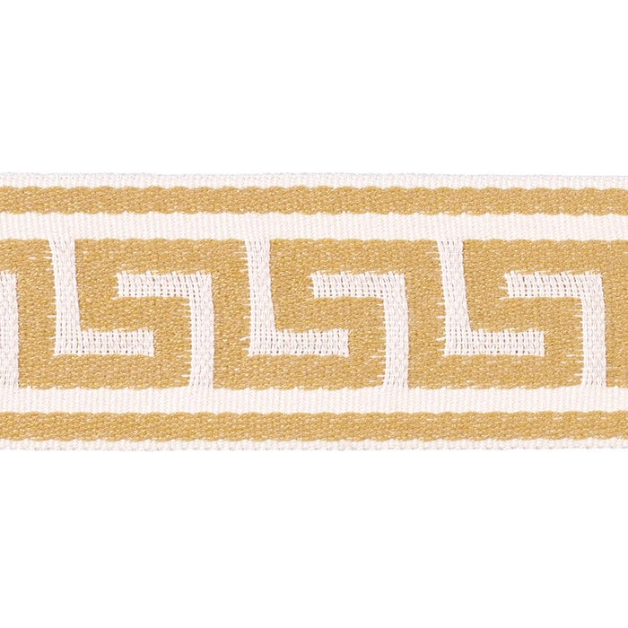 Schumacher Ganton Tape Indoor/Outdoor Yellow Trim 72398