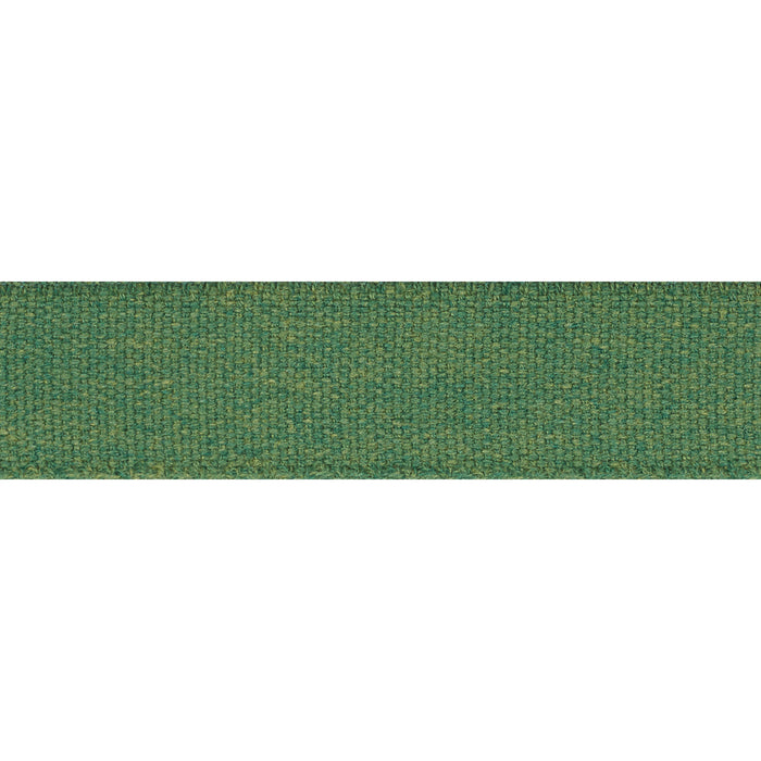 Schumacher Ashwood Tape Indoor/Outdoor Green Trim Sample 72414
