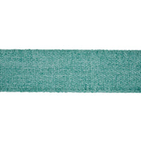 Schumacher Ashwood Tape Indoor/Outdoor Aqua Trim 72417