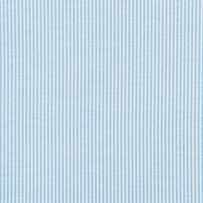 Schumacher Easton Stripe Indoor/Outdoor Sky Fabric Sample 73150
