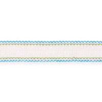 Schumacher Filippa Tape Indoor/Outdoor Aqua Trim 73571