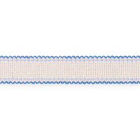 Schumacher Filippa Tape Indoor/Outdoor Delft Trim 73574