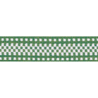 Schumacher Marta Tape Indoor/Outdoor Green Trim 73655