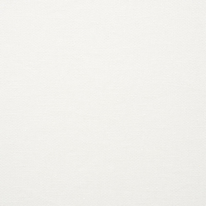 Schumacher Camarillo Weave Indoor/Outdoor Ivory Fabric 73870