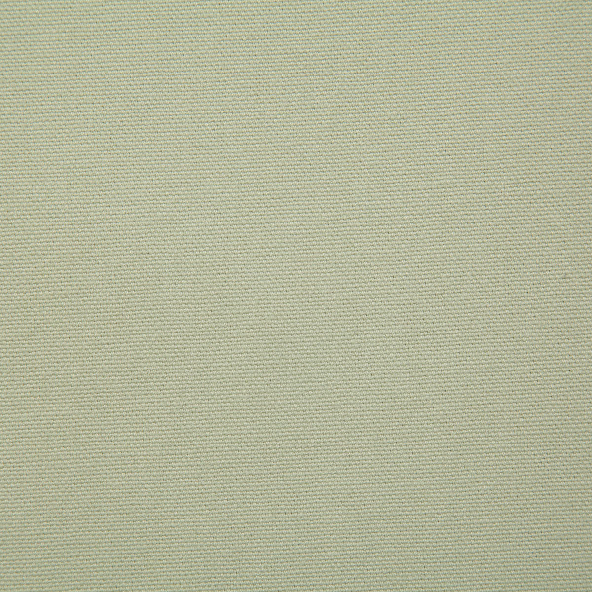 Pindler Hutton Pear Fabric 7415