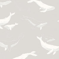 Schumacher Whales Grey Wallpaper 7452