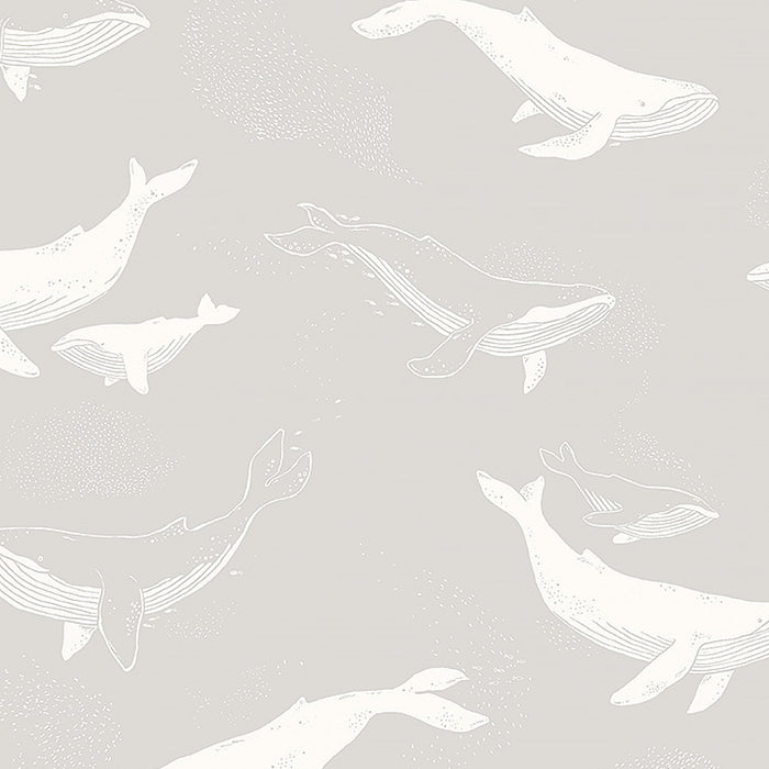 Schumacher Whales Grey Wallpaper Sample 7452