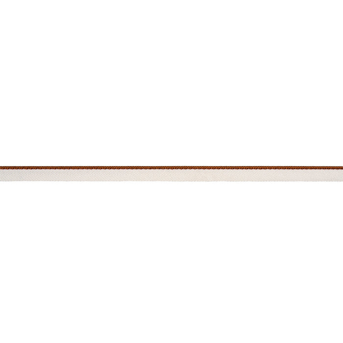 Schumacher Gustave Silk Lip Cord Narrow Spice Trim Sample 74538