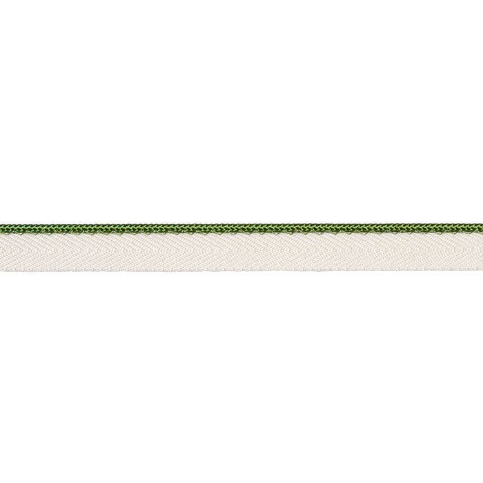 Schumacher Gustave Silk Lip Cord Narrow Green Trim Sample 74539