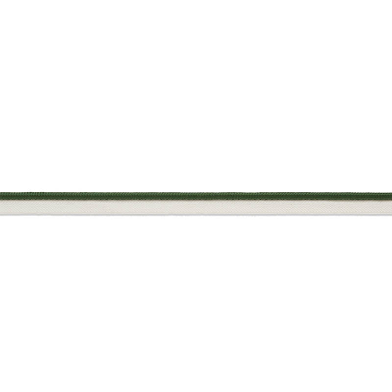 Schumacher Gustave Silk Lip Cord Medium Emerald Trim Sample 74554