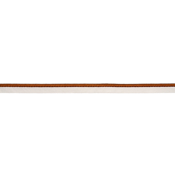 Schumacher Gustave Silk Lip Cord Medium Spice Trim Sample 74557