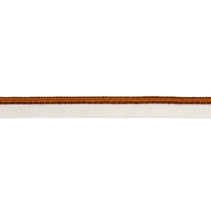 Schumacher Gustave Silk Lip Cord Medium Spice Trim Sample 74557