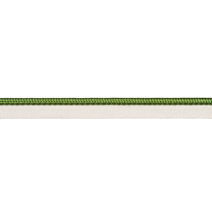 Schumacher Gustave Silk Lip Cord Medium Green Trim Sample 74558