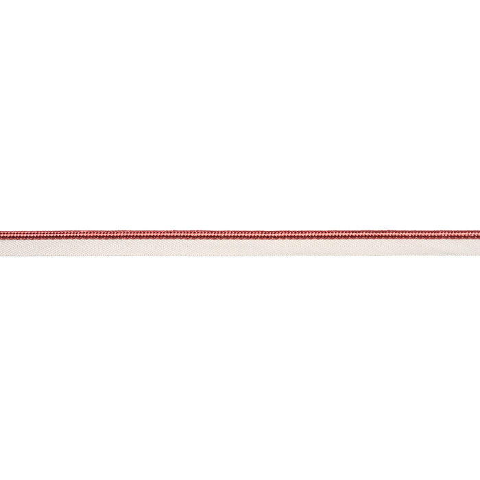 Schumacher Gustave Silk Lip Cord Medium Coral Trim Sample 74559