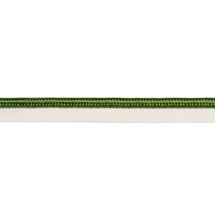 Schumacher Gustave Silk Lip Cord Wide Green Trim Sample 74577
