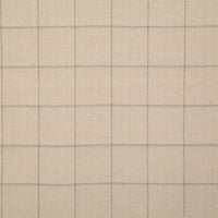 Pindler Danson Natural Fabric 7491