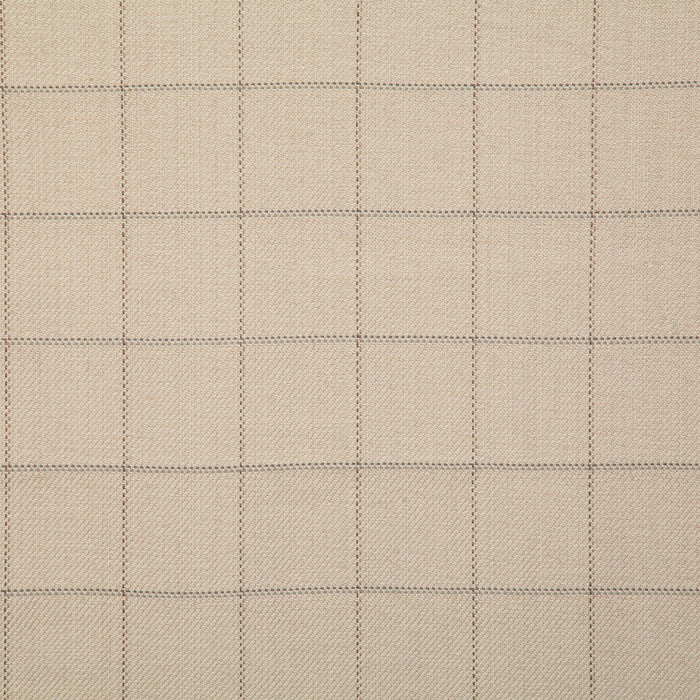 Pindler Danson Natural Fabric 7491