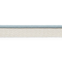 Schumacher Coleman Lip Cord Cloud Trim 74923