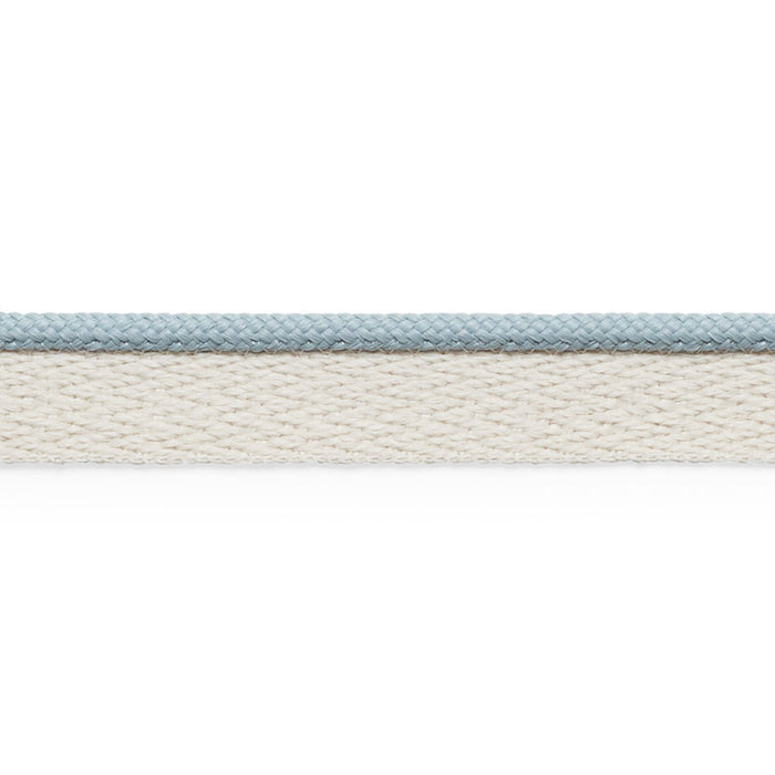 Schumacher Coleman Lip Cord Cloud Trim Sample 74923