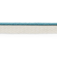 Schumacher Coleman Lip Cord Ocean Trim 74924