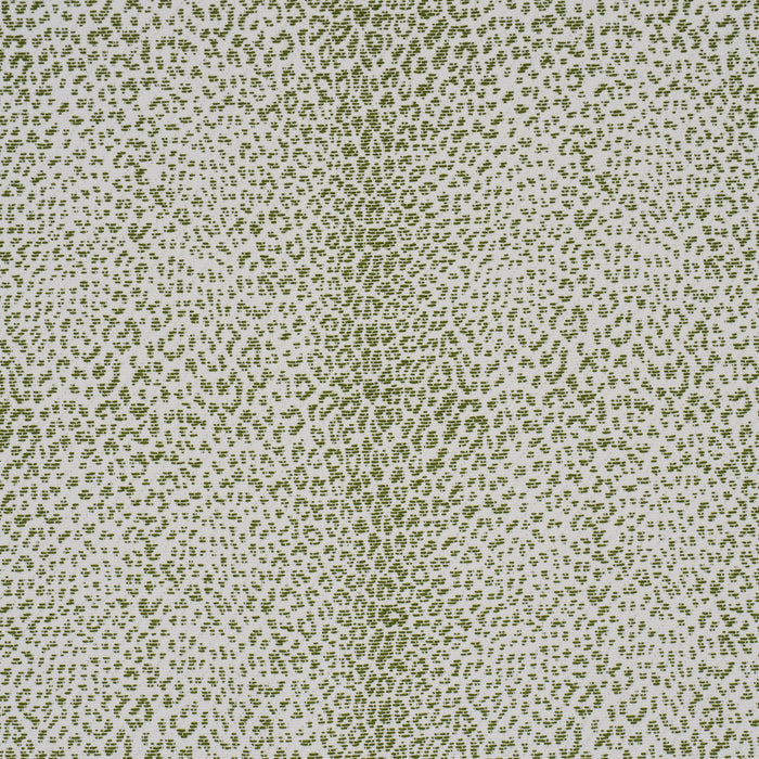 Schumacher Mini Leopard Outdoor Green Fabric Sample 75439