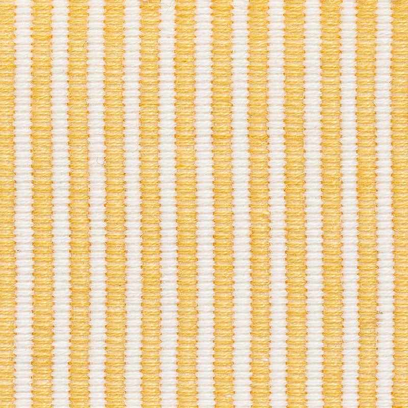 Schumacher Knox Tape Gold Trim Sample 75581