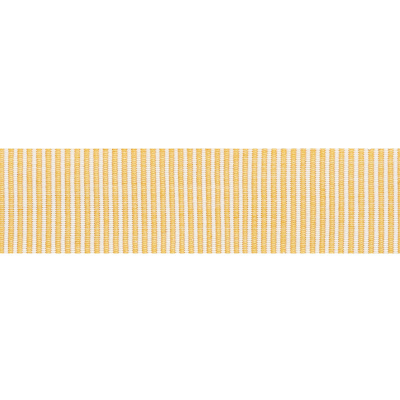 Schumacher Knox Tape Gold Trim Sample 75581