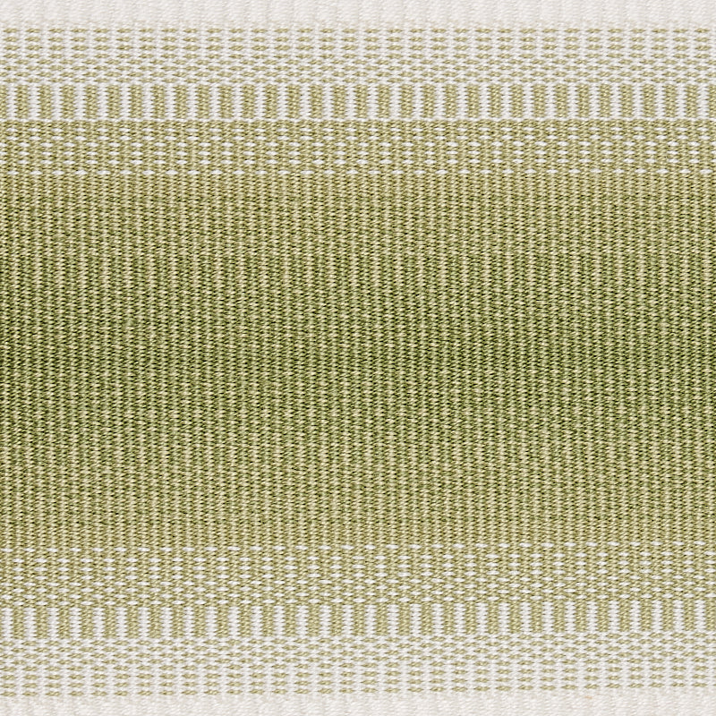 Schumacher Belton Tape Green Trim 75596