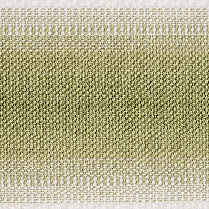 Schumacher Belton Tape Green Trim 75596