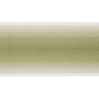 Schumacher Belton Tape Green Trim 75596