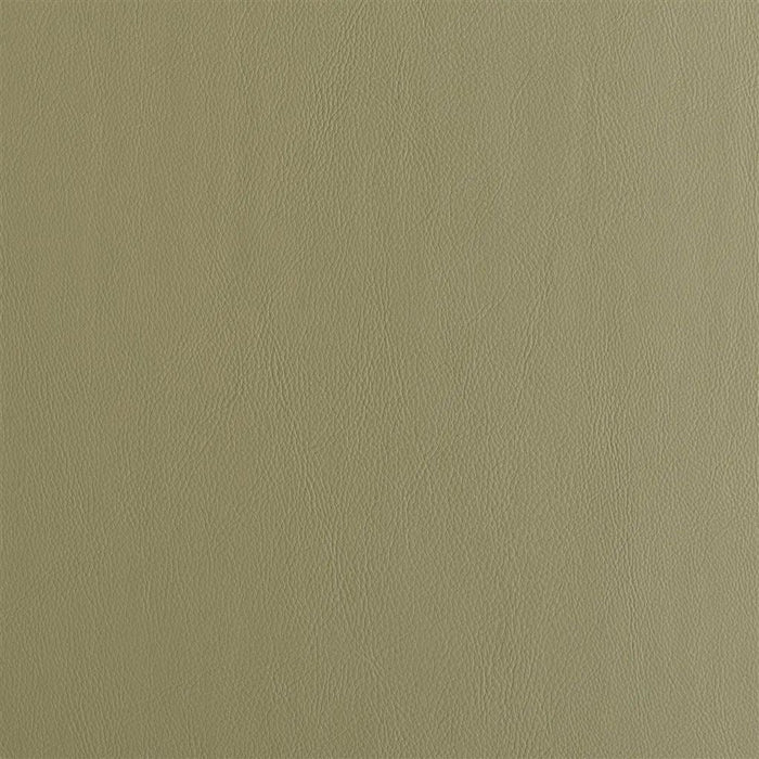 Designers Guild Matara 54 Sample Sample FDG2648-54