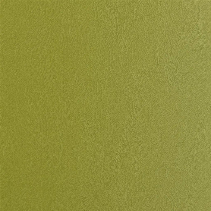 Designers Guild Matara 50 Sample Sample FDG2648-50
