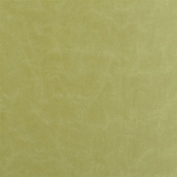 Designers Guild Matara 49 Sample Sample FDG2648-49