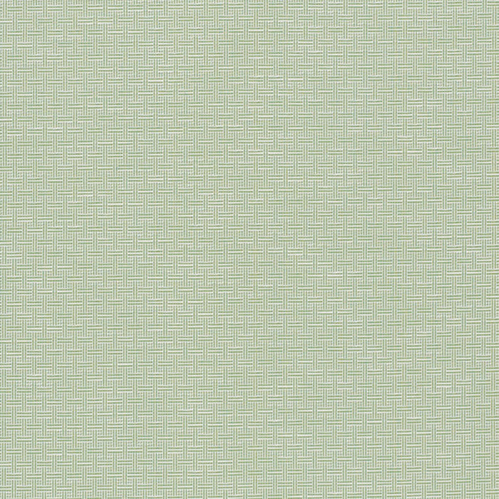 Schumacher Brickell Indoor/Outdoor Leaf Fabric Sample 75931