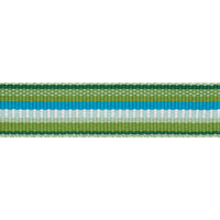 Schumacher Primavera Tape Narrow Meadow Trim 75980